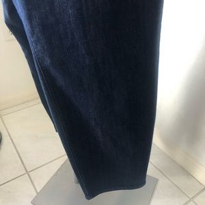 NWT Ann Taylor Stretch plus high waist skinny jean